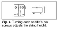 Fig. 1 Setting string height