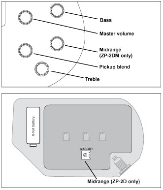 ZP-2D and ZP-2DM Electronics